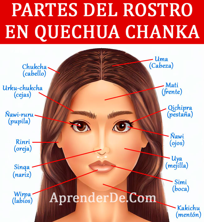 Partes de la cara en quechua chanka