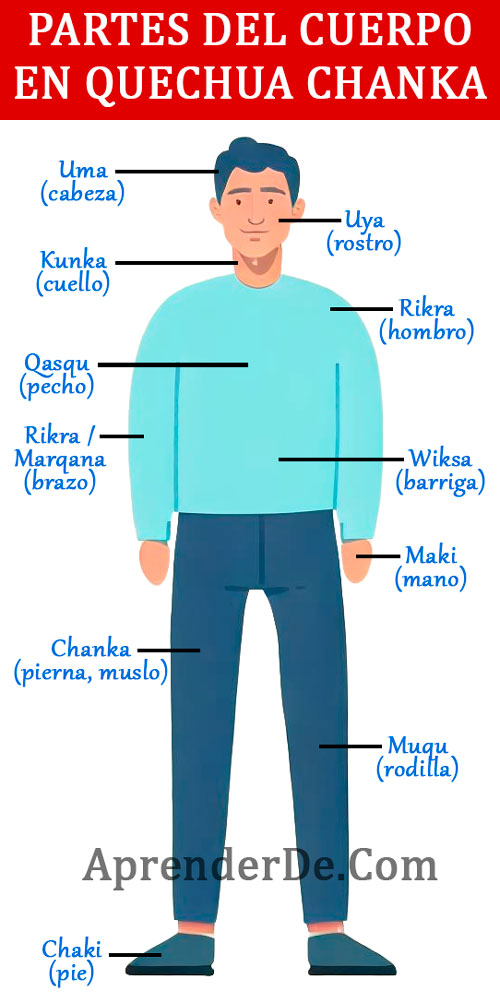 Partes del cuerpo en quechua chanka