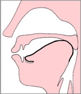 Pronunciación de la Q