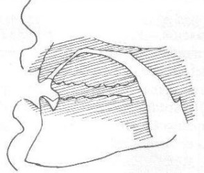 Pronunciacion de la Y